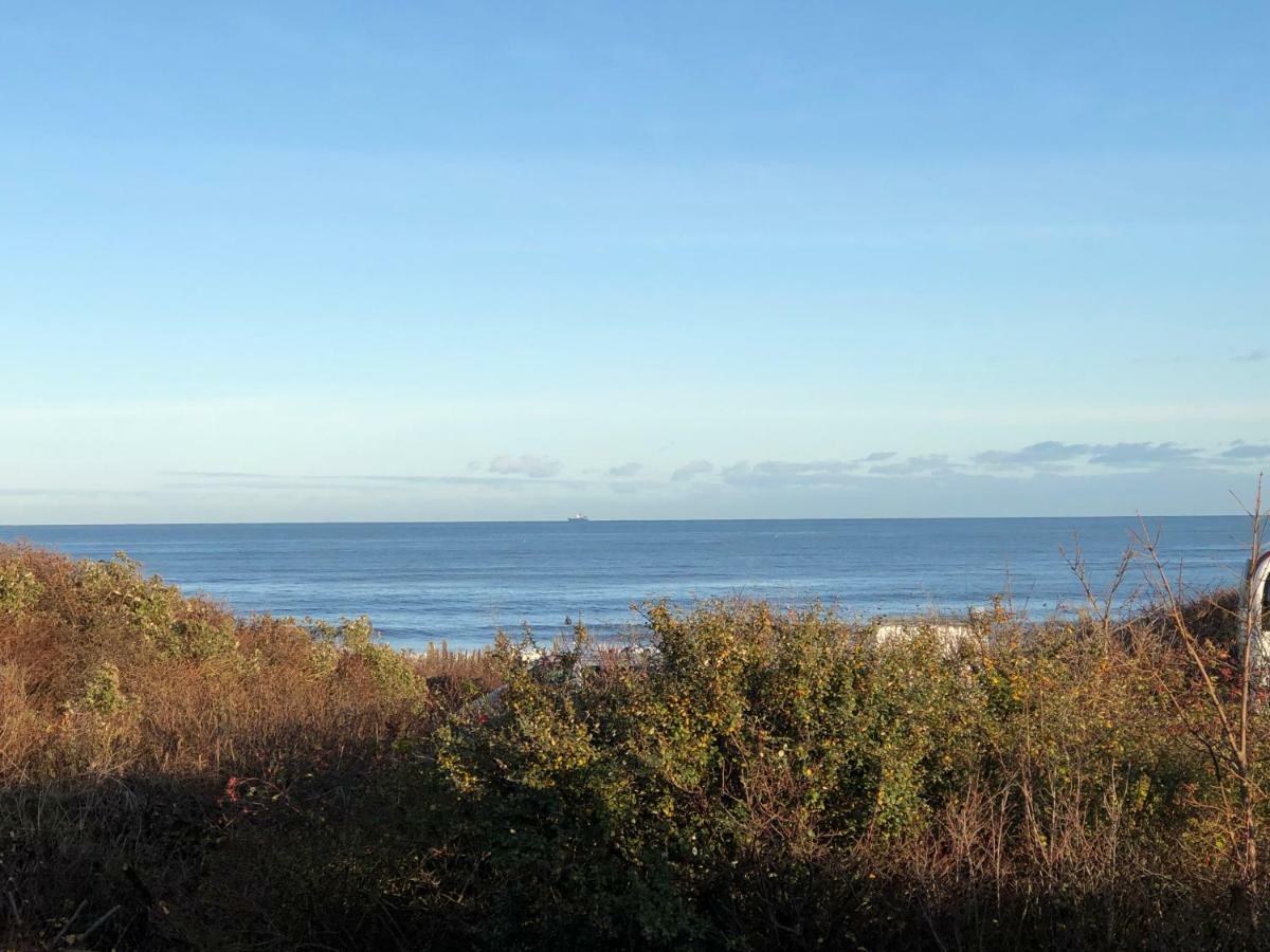 Beautiful Beach View Cottage Bungalow St Andrews Zewnętrze zdjęcie